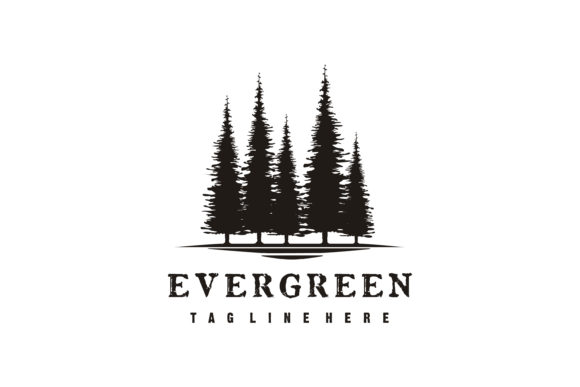 Download Retro Vintage Pine, Evergreen, Fir Tree - Vintage pine Collection